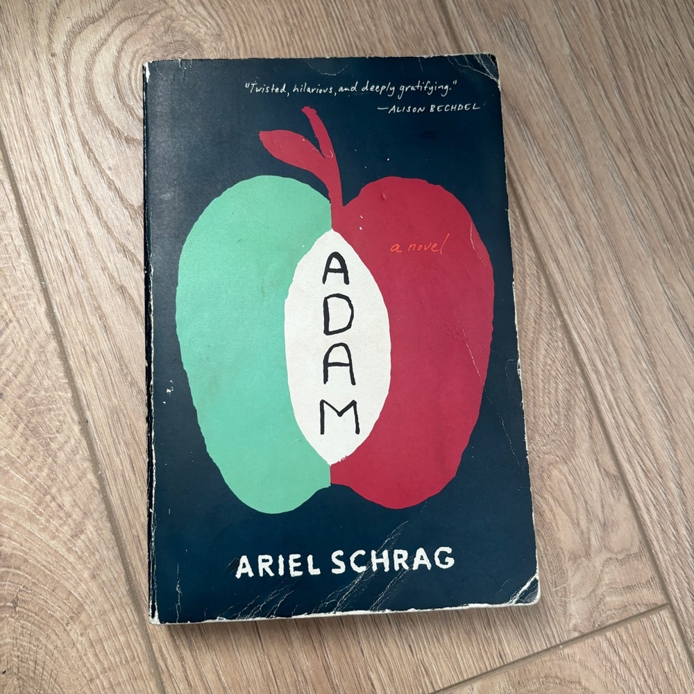 4/$20 ADAM by Ariel Schrag Paperback Novel LGBTQ Coming-of-Age fiction